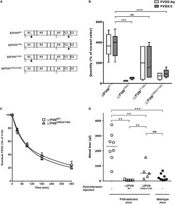 Removal of Mannose-Ending Glycan at Asn2118 Abrogates FVIII Presentation by <mark class="highlighted">Human Monocyte-Derived Dendritic Cells</mark>